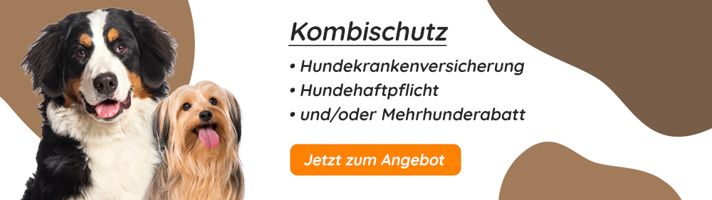 Hundekrankenversicherung ohne Altersbegrenzung Kombischutz
